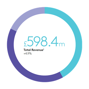 Chart showing £598.4m revenue for the Healthcare Sector